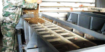 ��ˎֱ����ӺY